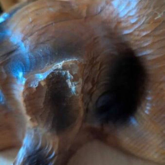 Big Sky Carvers Jeff Fleming Pine Wood Carved Purdy Dog Sculpture Bearfoots - Picture 13 of 16